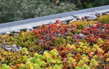the cost of Bleach Green green roof installation