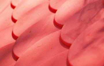 Bleach Green plastic roof costs