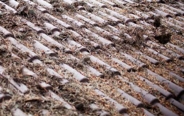 Bleach Green roof cleaning companies