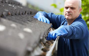 cleaning and inspecting Bleach Green roofs