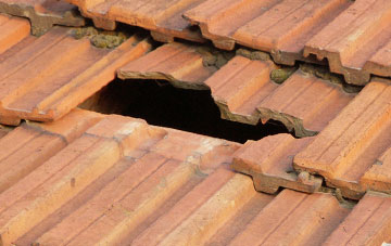 roof repair Bleach Green